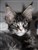 received_1474226066088040.jpeg