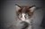 received_2516846441924275.jpeg