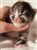 received_3077302788965604.jpeg