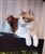 20201129_140918.jpg
