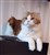 20201129_142454.jpg