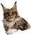 20240131_173723.png