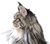 20250701_184457.png