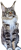 FB_IMG_1658854383582.png