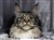 received_1157303931513353.jpeg
