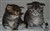 DSC_1124.JPG