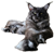 20241117_122030.png