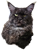 20250502_110321.png