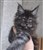 received_1034512084113730.jpeg