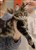 Messenger_creation_621CE24D-1E3C-44F4-AD70-766FB99FEB2F.jpeg