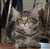 DSC_0677.JPG