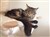 image_89.jpeg