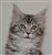 Alice 11 veckor (21).JPG