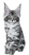 20260130_121137.png