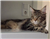 20160908_092828.png