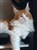 20190829_183823.jpg