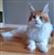 20190829_194126.jpg