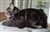 20190723_164636.jpg