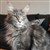 20190723_164847.jpg