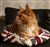20190729_011408.jpg