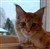 DSC_1414.JPG