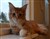 DSC_1416.JPG