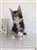 received_2192361427703439.jpeg
