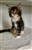 received_317488359038076.jpeg
