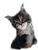 received_330032677805489.png
